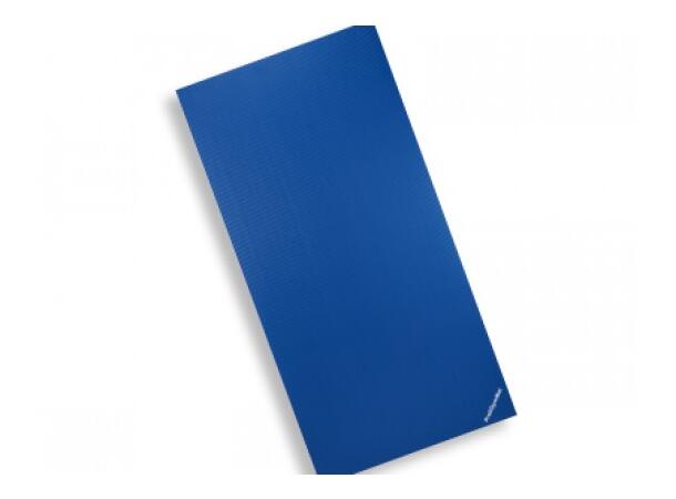 Profi Gymmatte 200 x 100 x 2,5 cm Blå